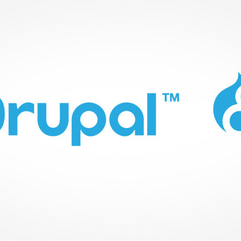 Drupal 8: Guía de referencia