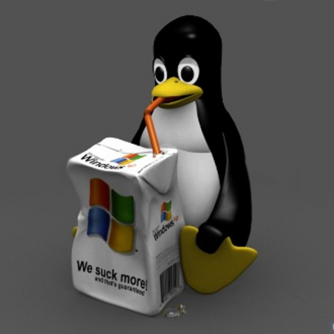 Linux vs Windows