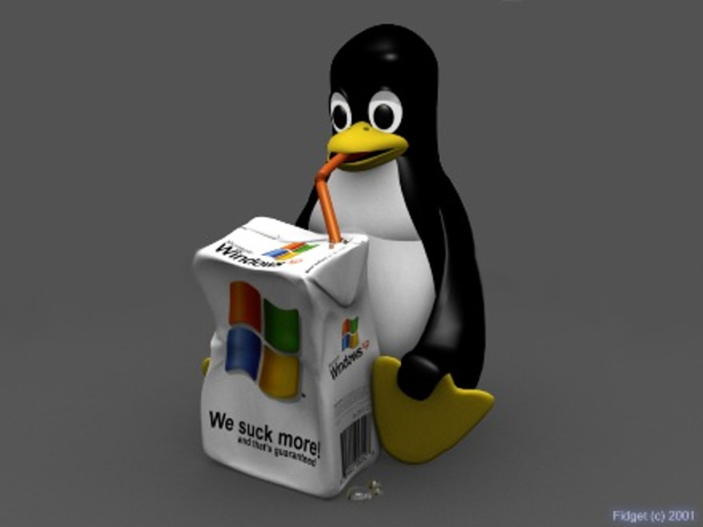 Linux vs Windows